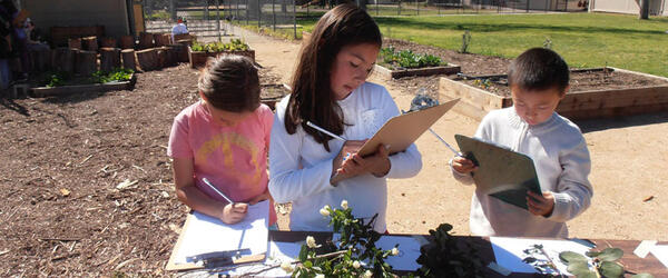 Students studying plants
